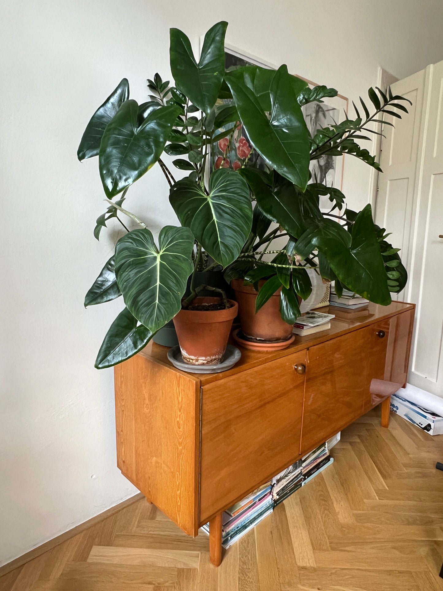 Lesk na rostliny proti škůdcům