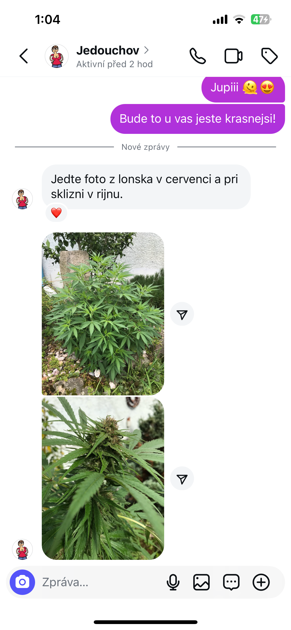 Silver Haze CBG Bonghemia klon