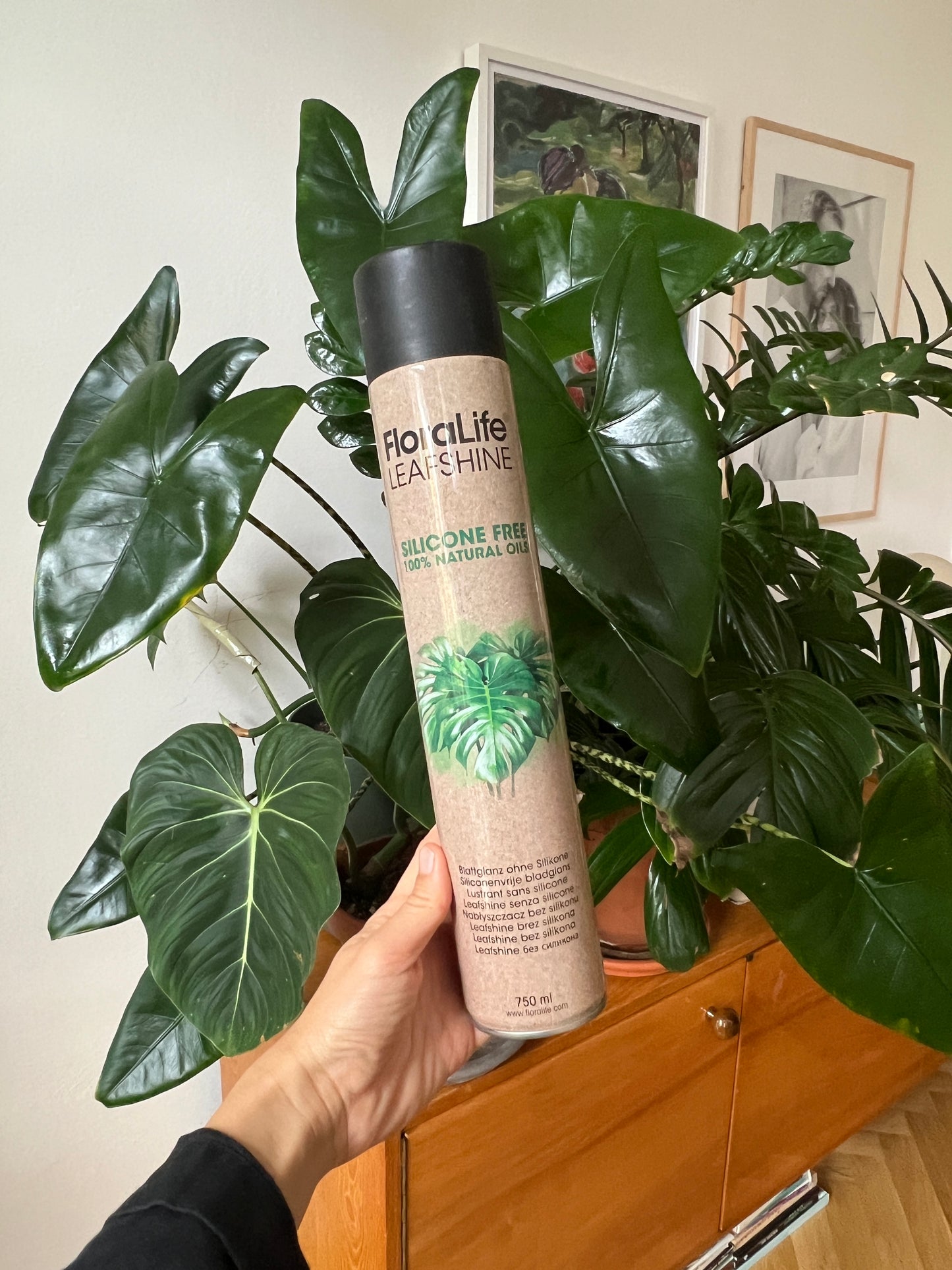 Výhodný nákup pro restart rostlin