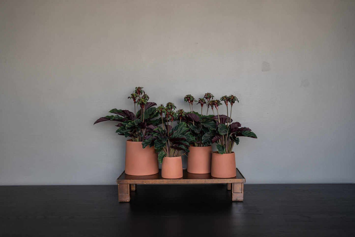 Keramický obal na květináč Sofia Pottery Pots