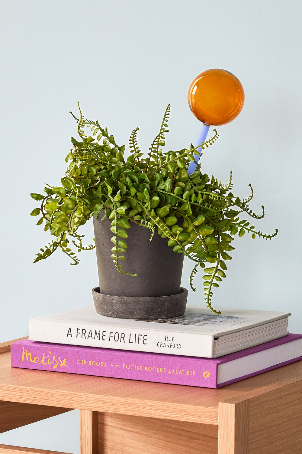 Zavlažovací koule Hübsch růžovo-zelená