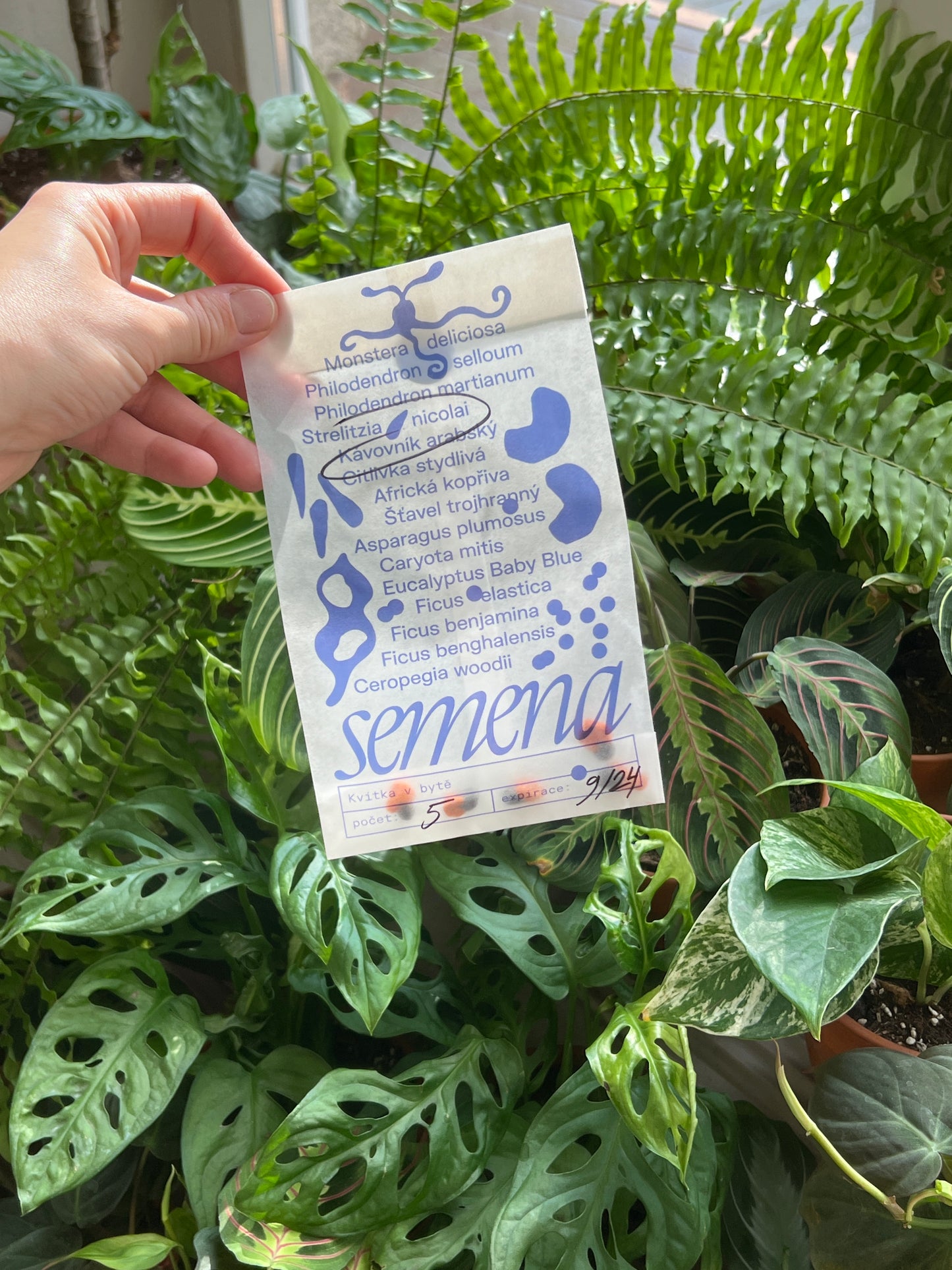 Výhodná sada pěti balíčků semen