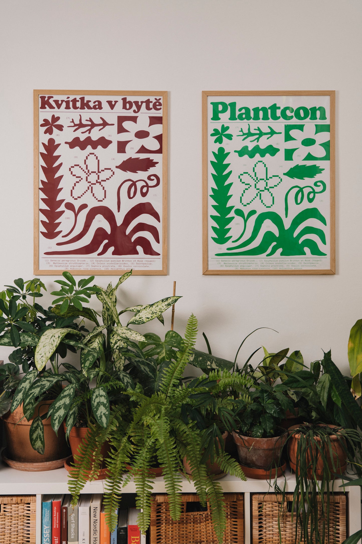 Plakát Kvítka v bytě