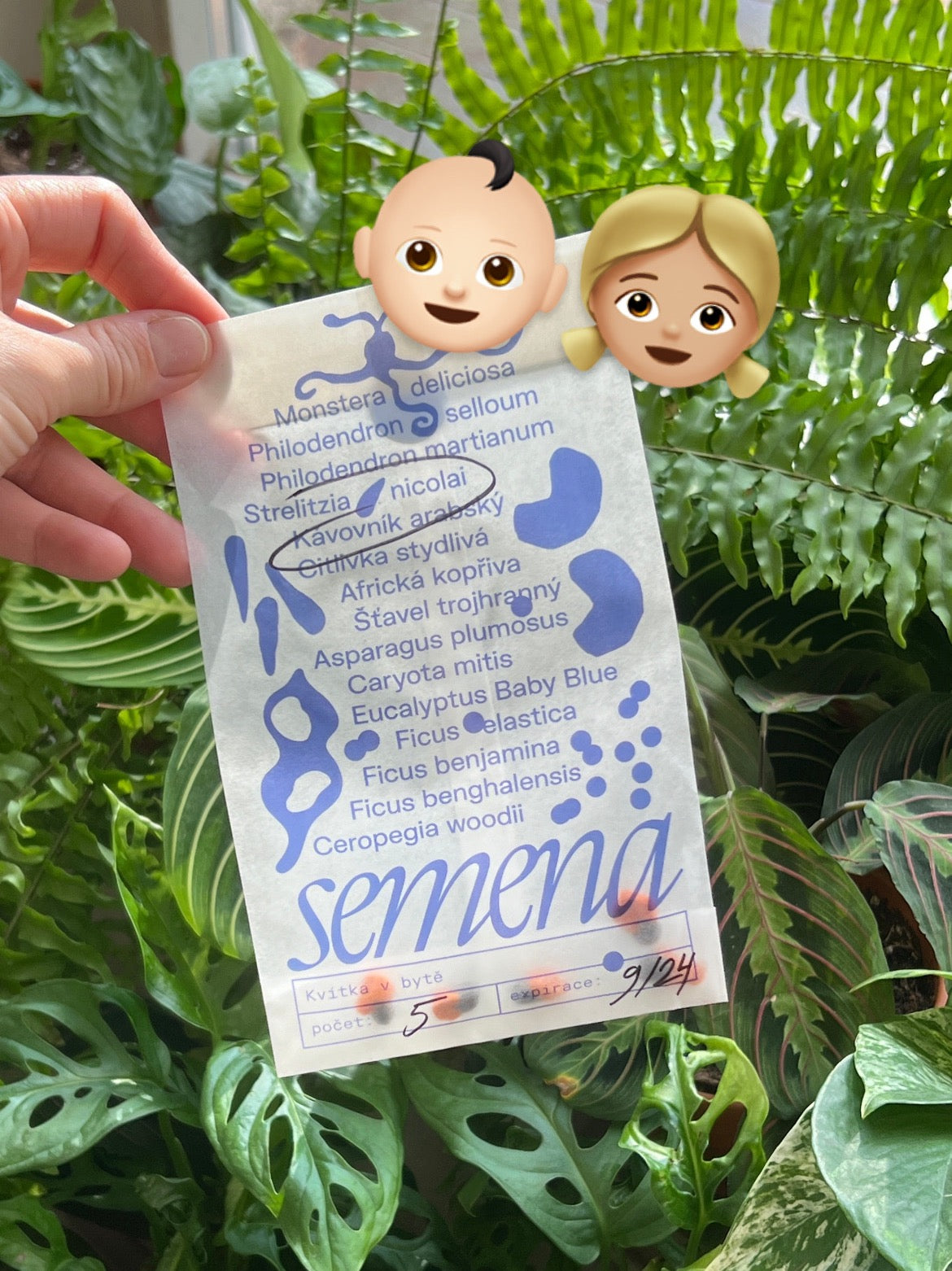 Sada třech balíčků semen pro děti