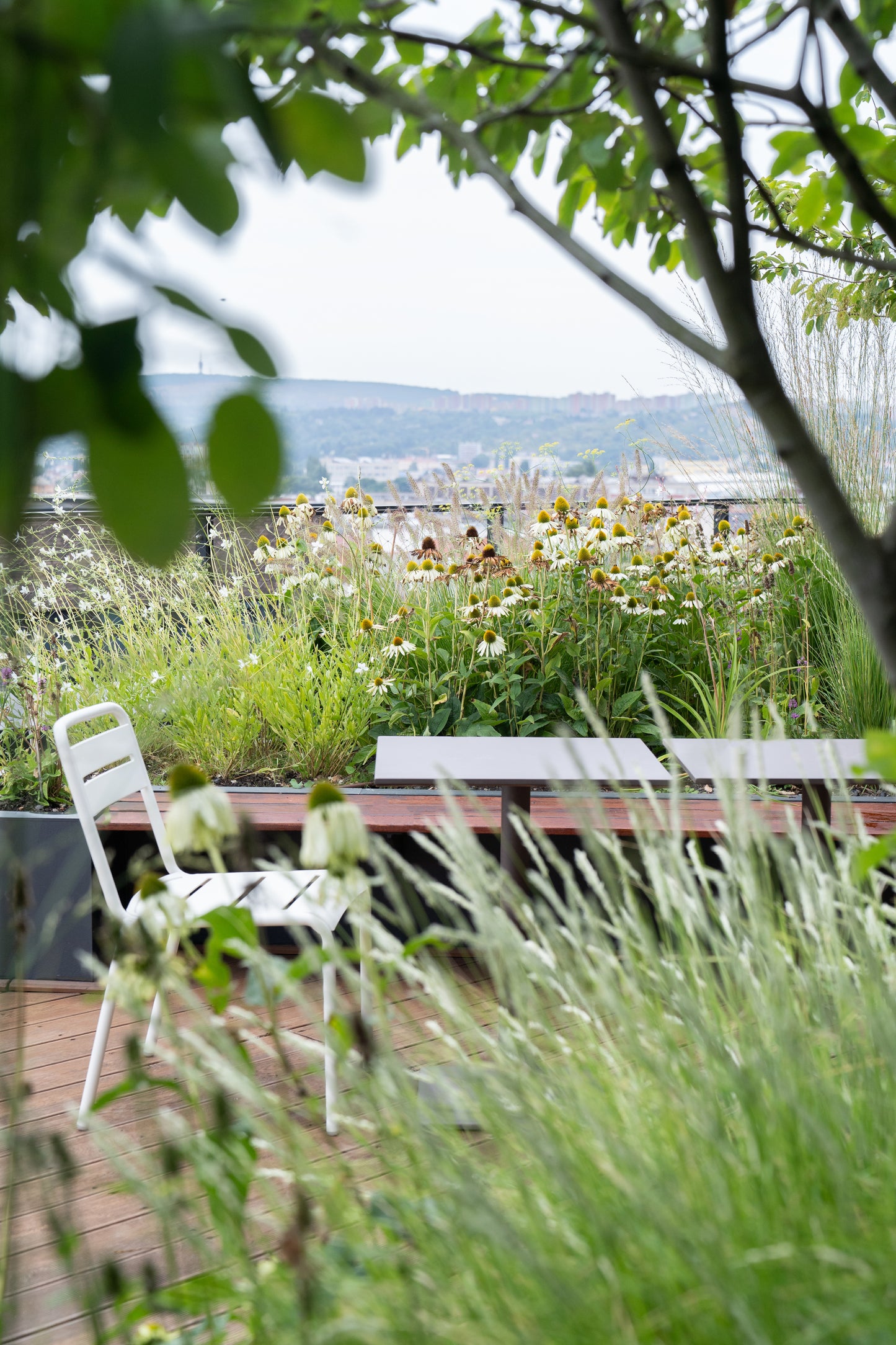 Návrh ozelenění terasy