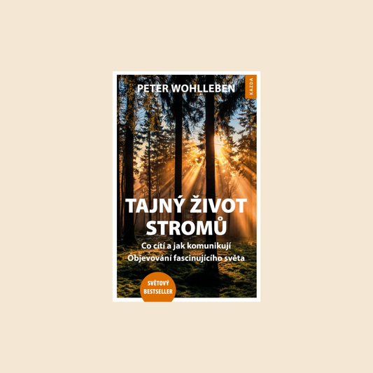 Tajný život stromů. Co cítí, jak komunikují