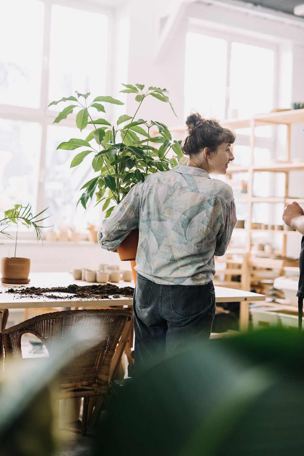 Workshop Základy pěstování a množení kvítek v bytě