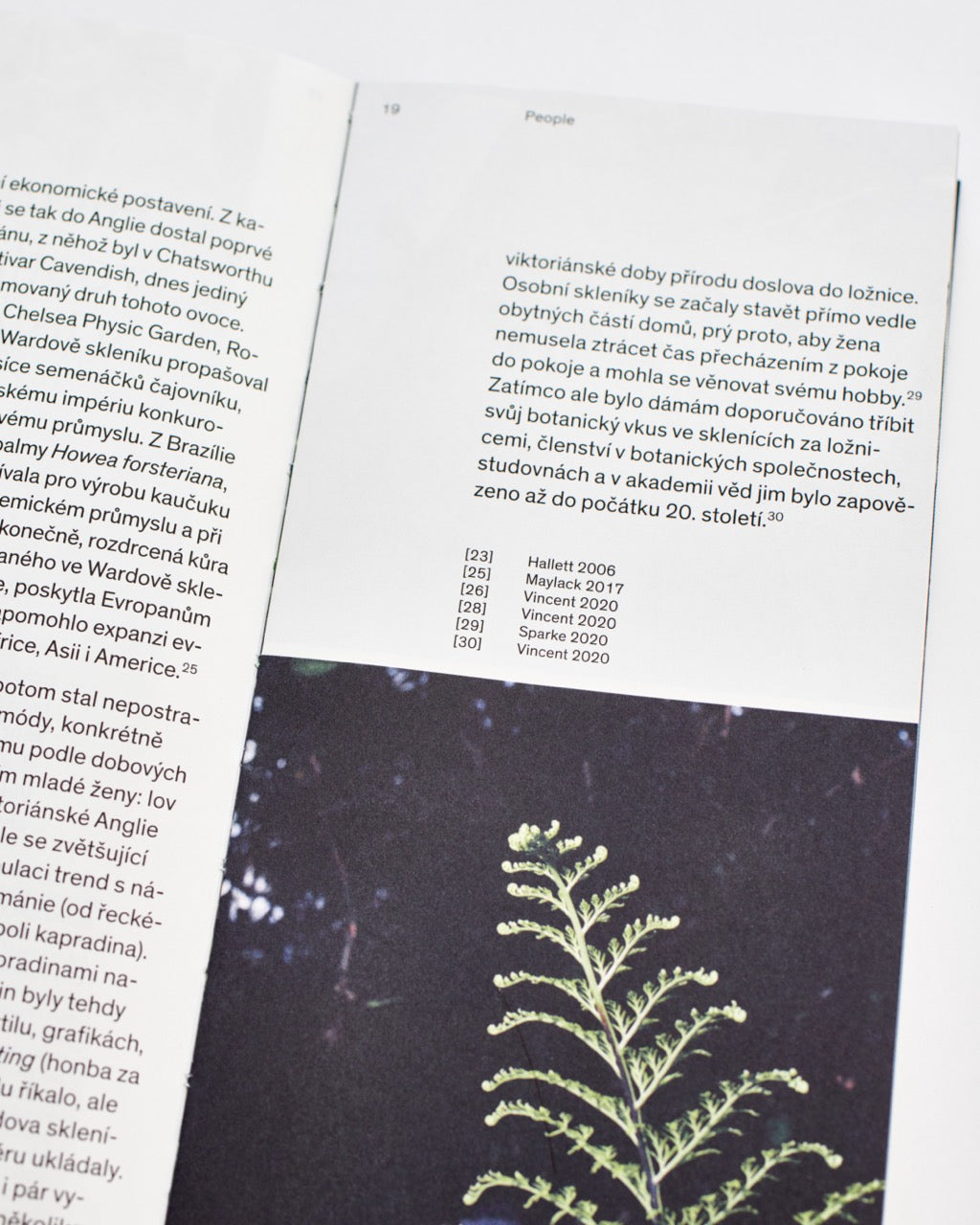 Plantlovers: Neviditelná botanika městského prostředí