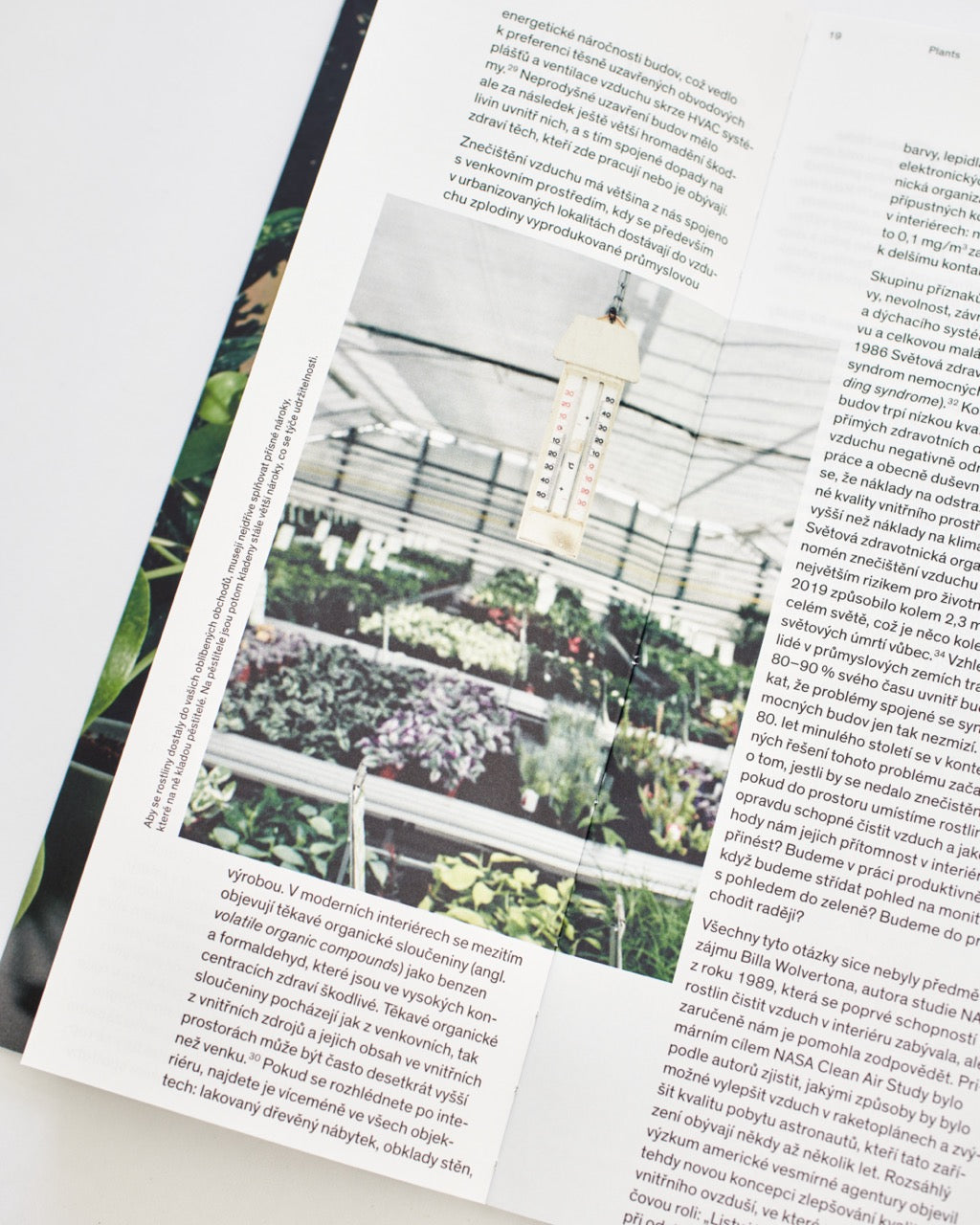 Plantlovers: Neviditelná botanika městského prostředí