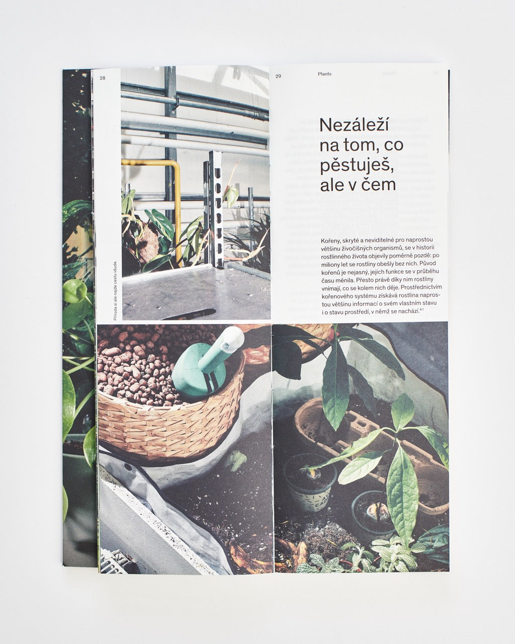 Plantlovers: Neviditelná botanika městského prostředí