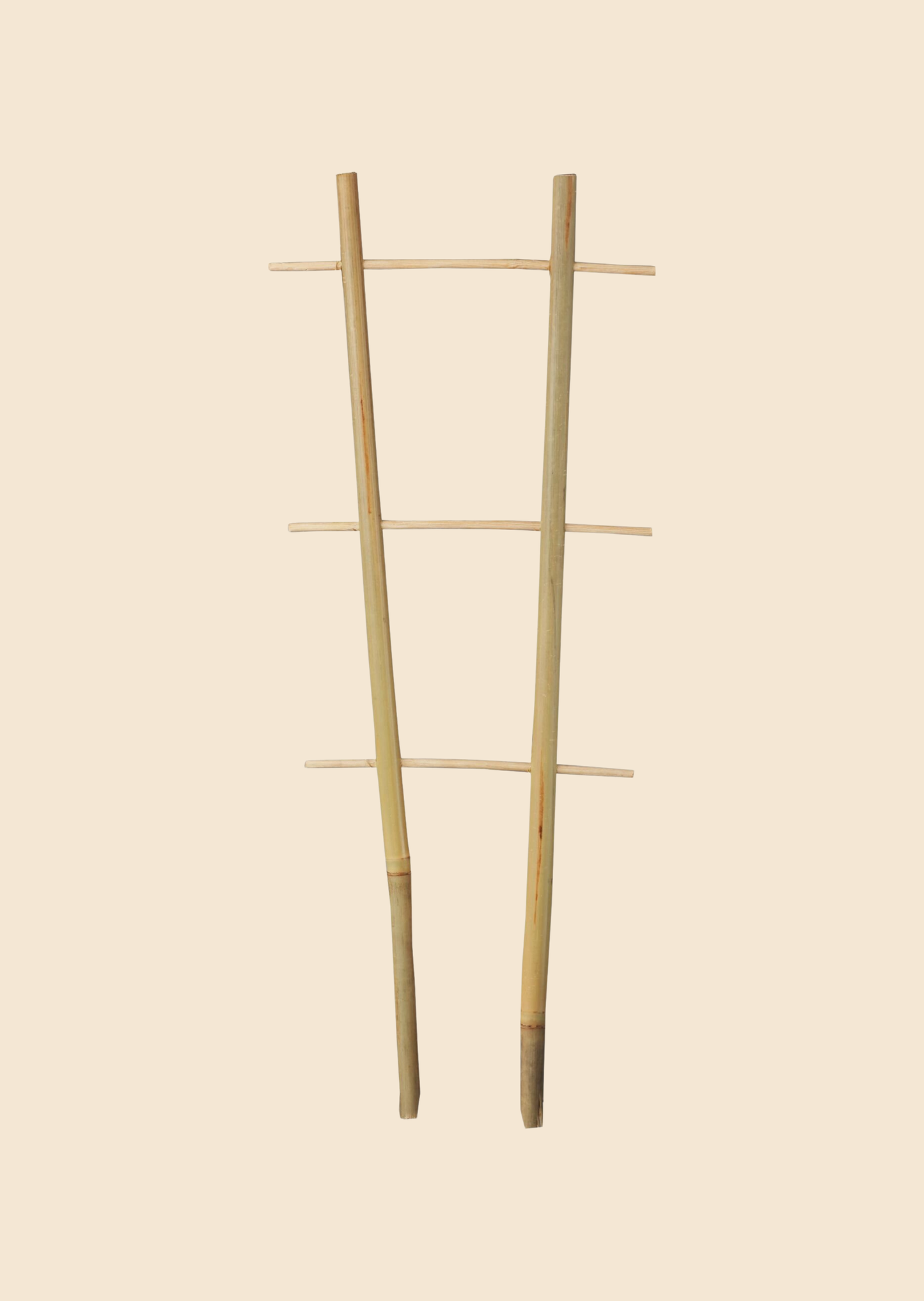 Bambusová opora jednoduchá