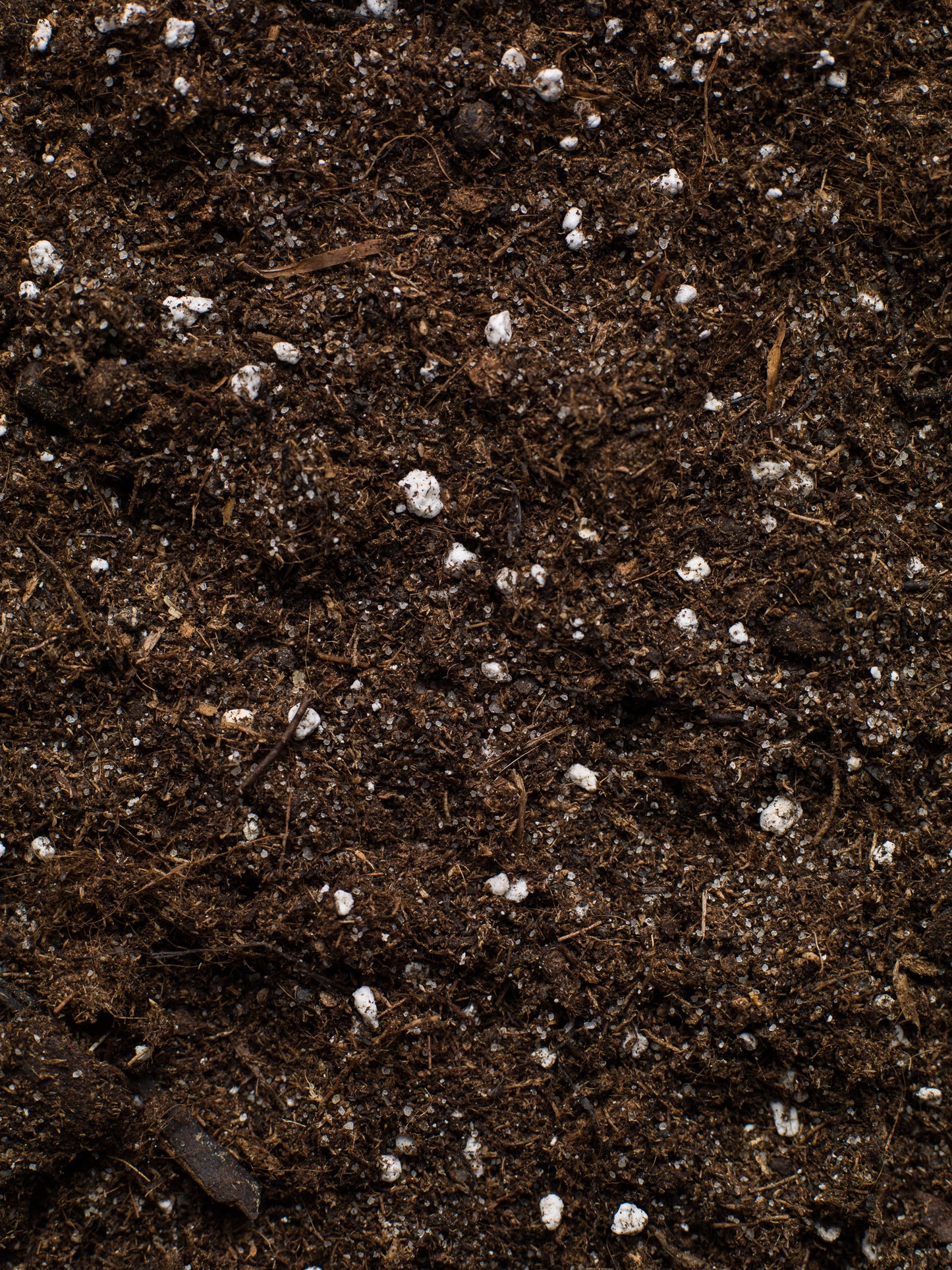 Výsevní a množírenský substrát