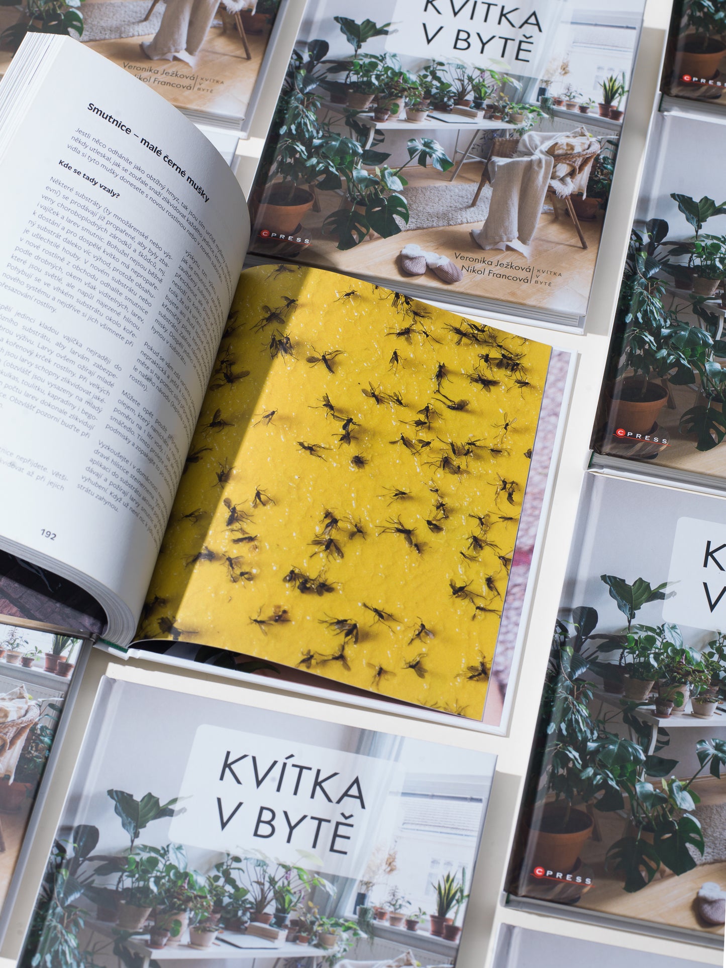 Naše knížka Kvítka v bytě