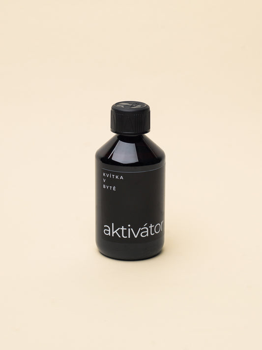 Aktivátor
