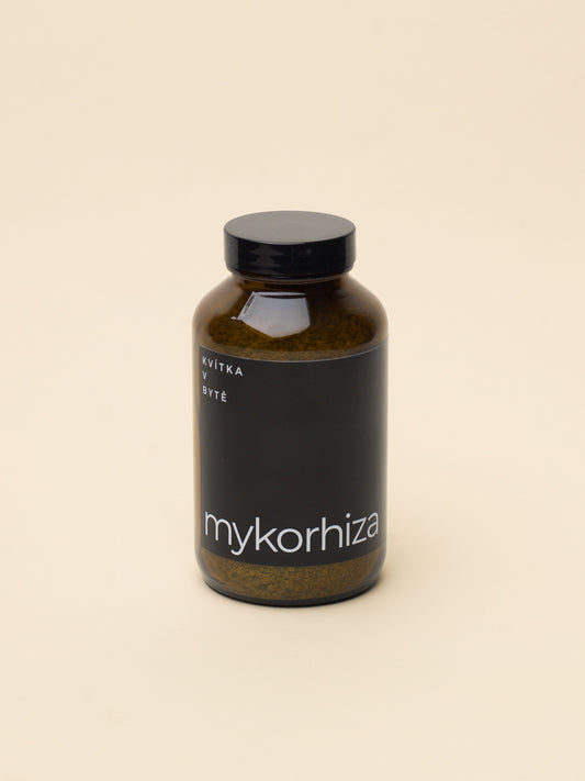 Mykorhiza