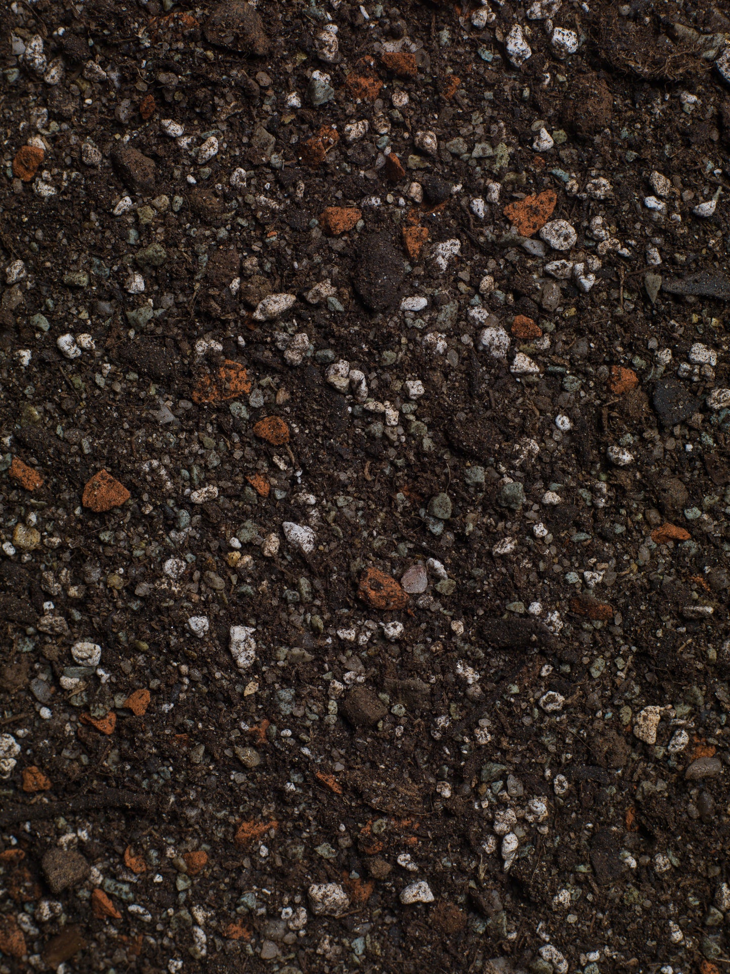 Substrát pro sukulenty