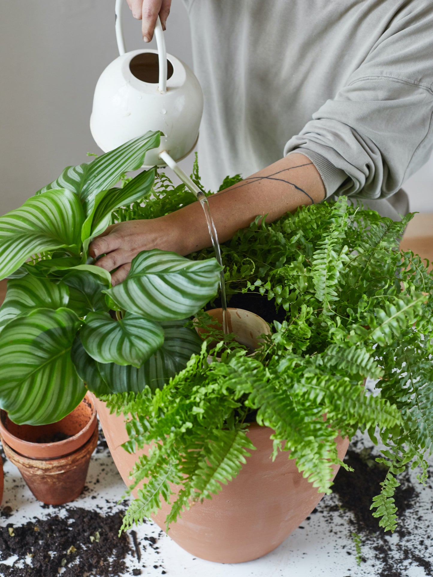 Zavlažovací OLLA do záhonu