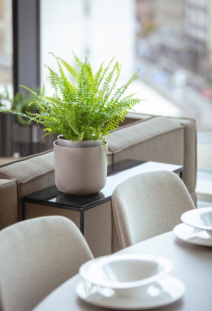 Samozavlažovací květináč Tolita Air terakota/slonová kost