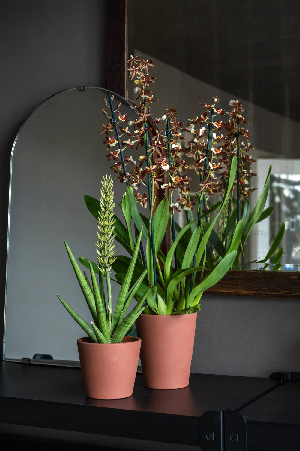 Keramický obal na květináč Rosa Pottery Pots