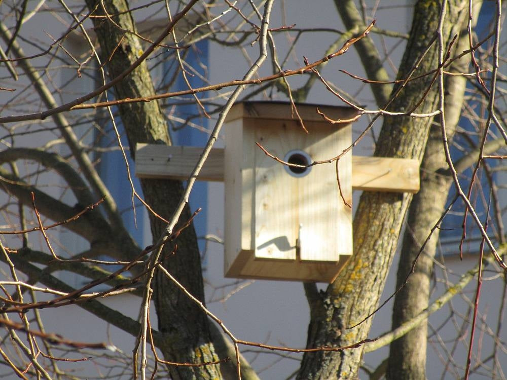 Stavebnice ptačí budky (sýkorník)