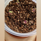 Hlízy: Šťavel trojhranný (oxalis triangularis) #slowplant