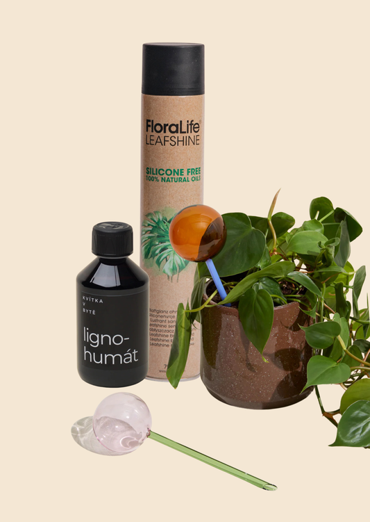 Výhodný nákup restart rostlin