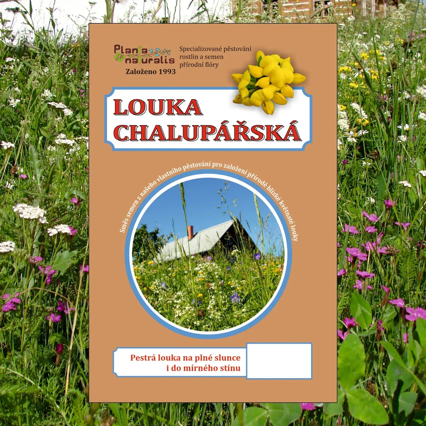 Směs lučních semen Chalupářská louka