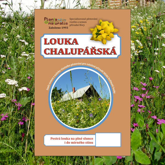 Směs lučních semen Chalupářská louka