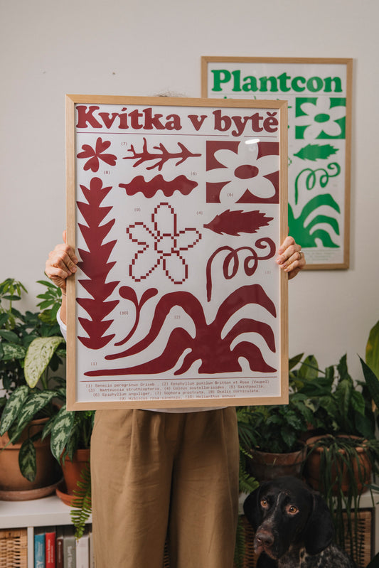 Plakát Kvítka v bytě