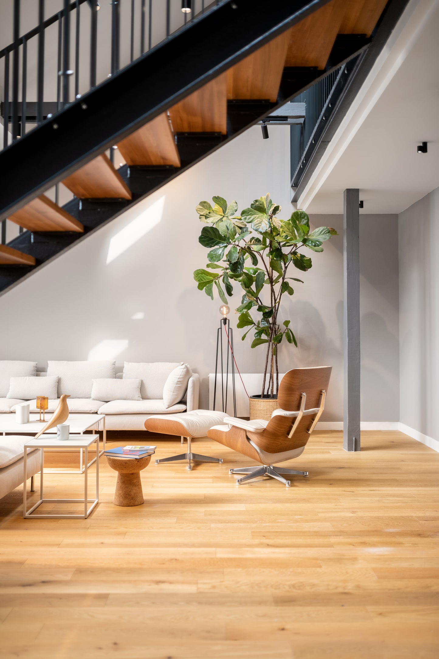 Návrh ozelenění bytu/kanceláře