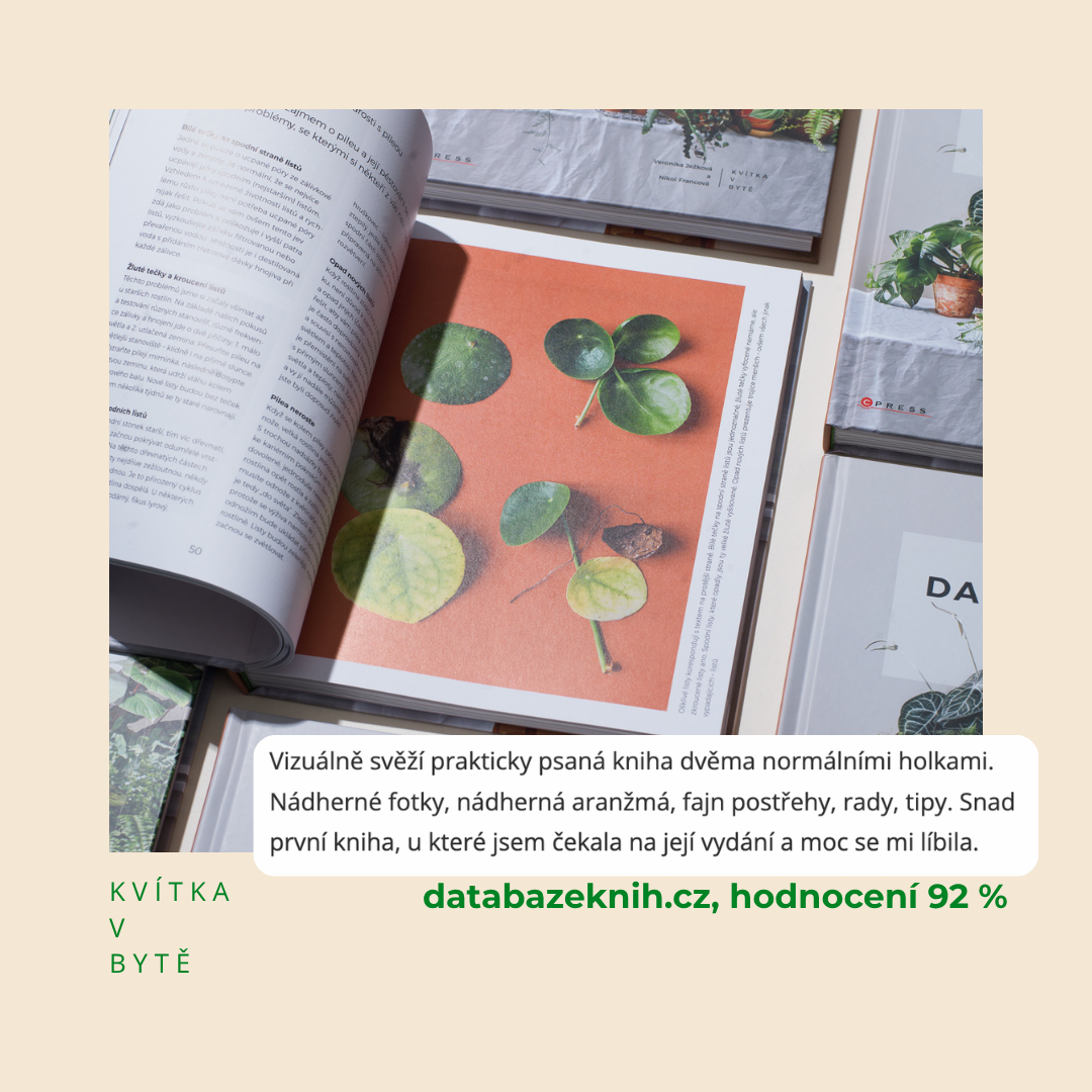 Další kvítka v bytě: Ruce od hlíny