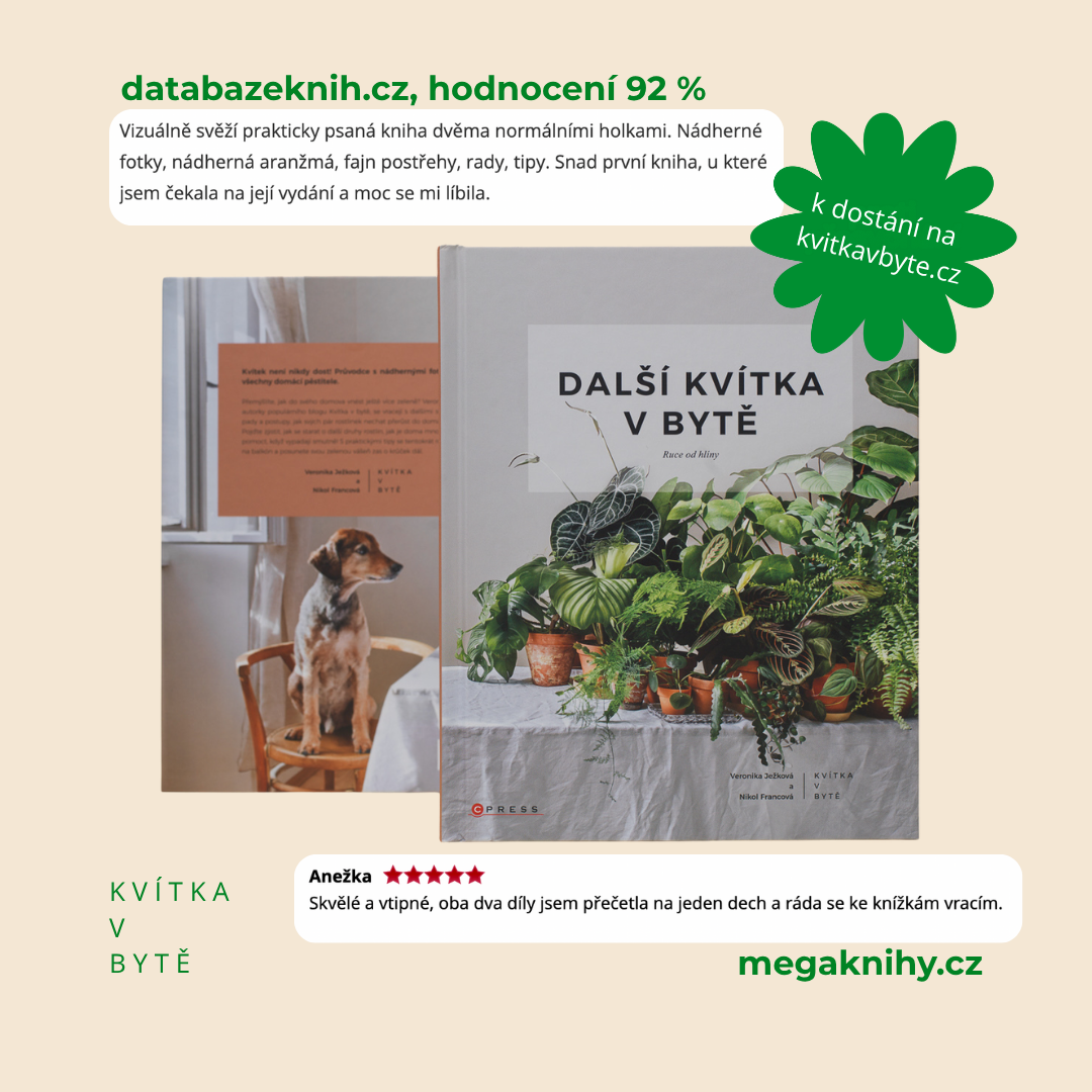 Další kvítka v bytě: Ruce od hlíny