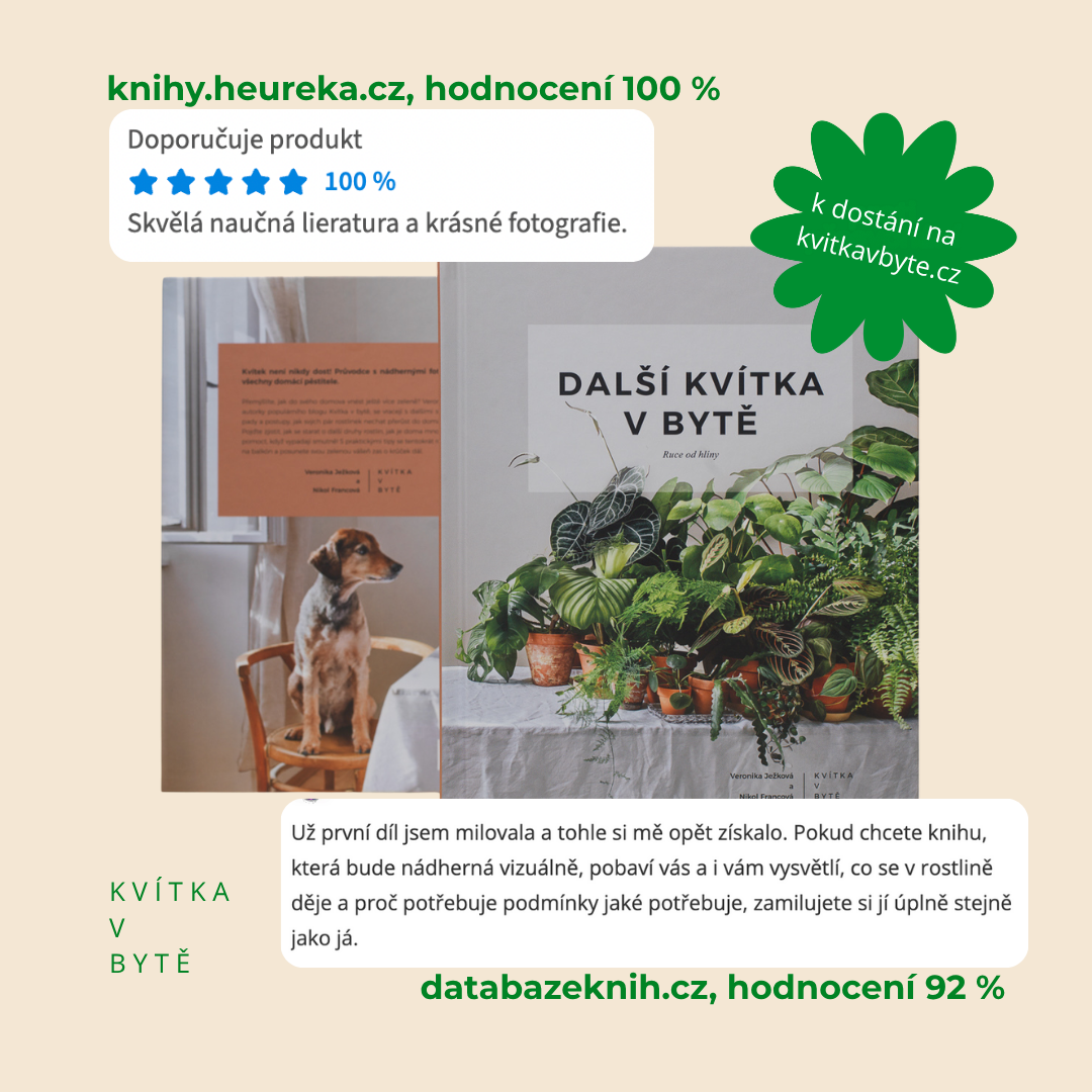 Další kvítka v bytě: Ruce od hlíny