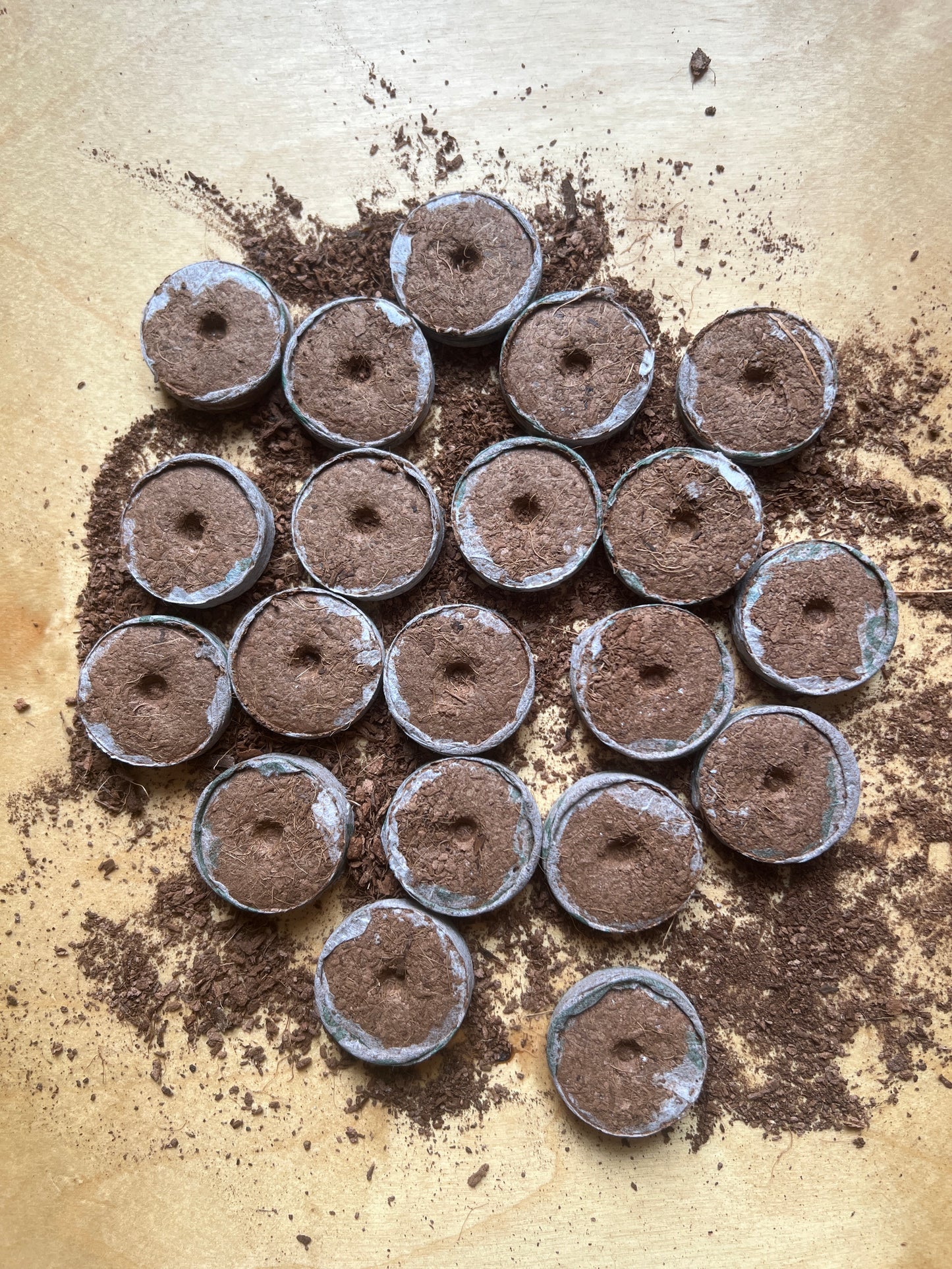 Kokosové tablety na sázení jiffy 3,6 cm balení 20 ks