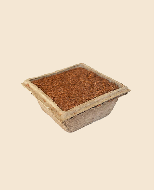 Kostka TerraBrick™ pro aranžování a množení rostlin