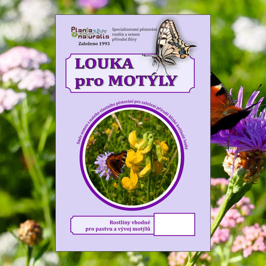 Směs lučních semen Louka pro motýly