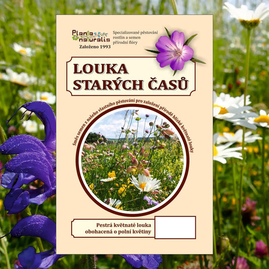 Směs lučních semen Louka starých časů