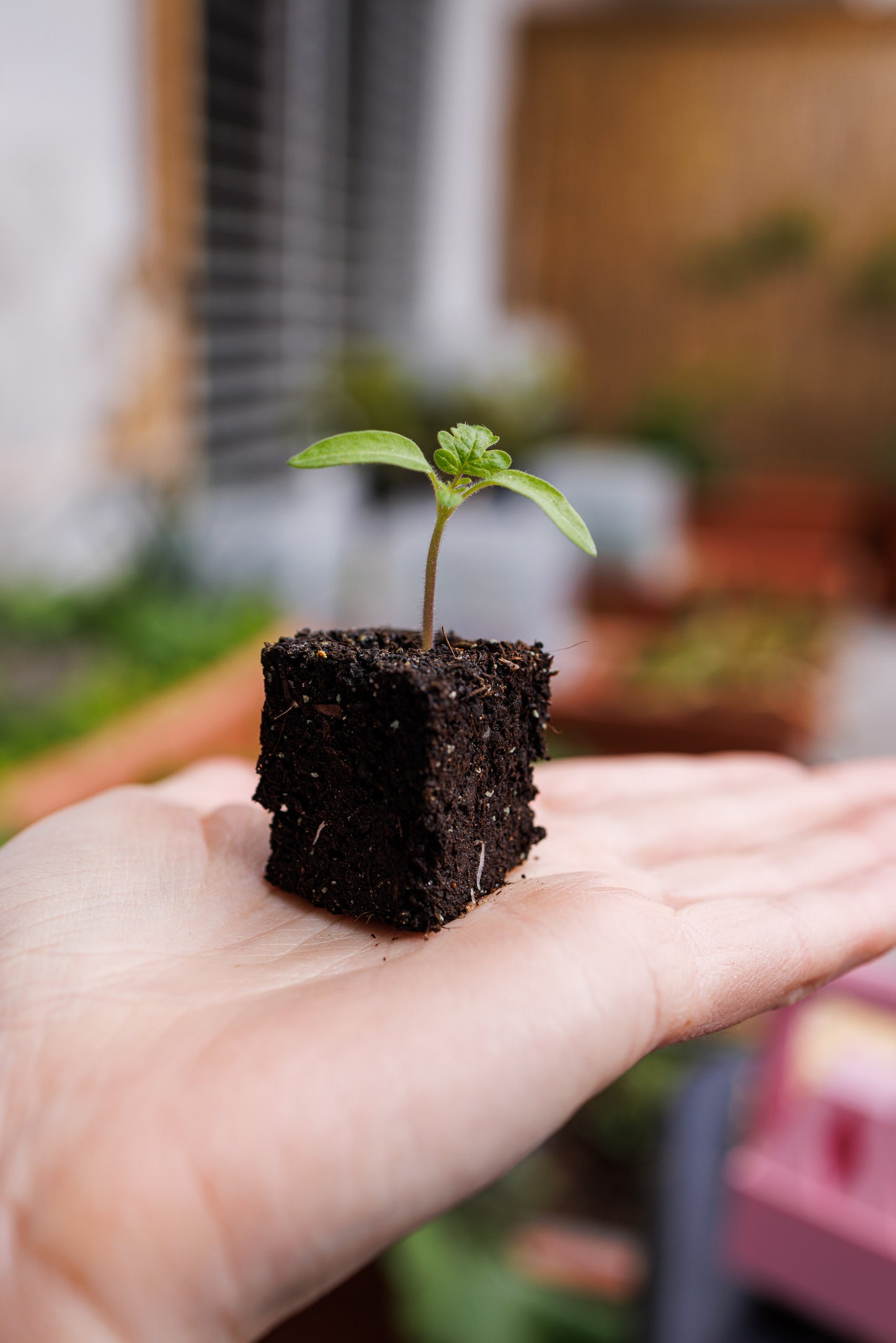 Soil blocker (kostkovač) pro 8 kostek Kvítkoblok