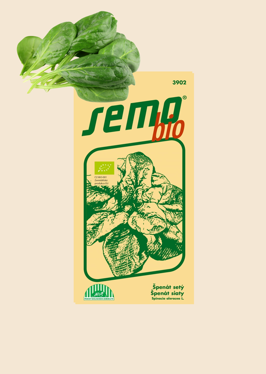 BIO Špenát setý Matador 5 g