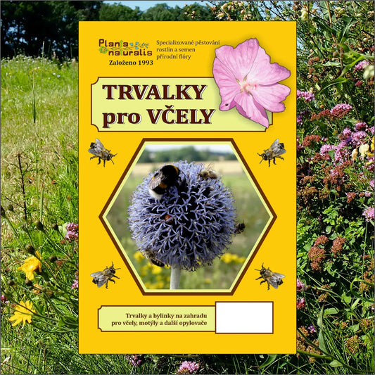 Směs lučních semen Trvalky pro včely