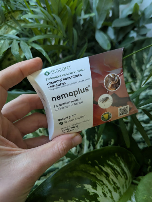 Dravé hlístice NEMAPLUS proti smutnicím