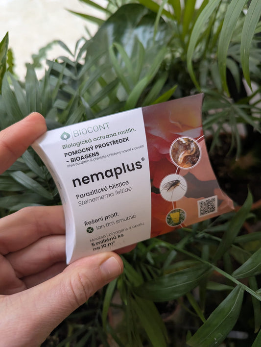 Dravé hlístice NEMAPLUS proti smutnicím