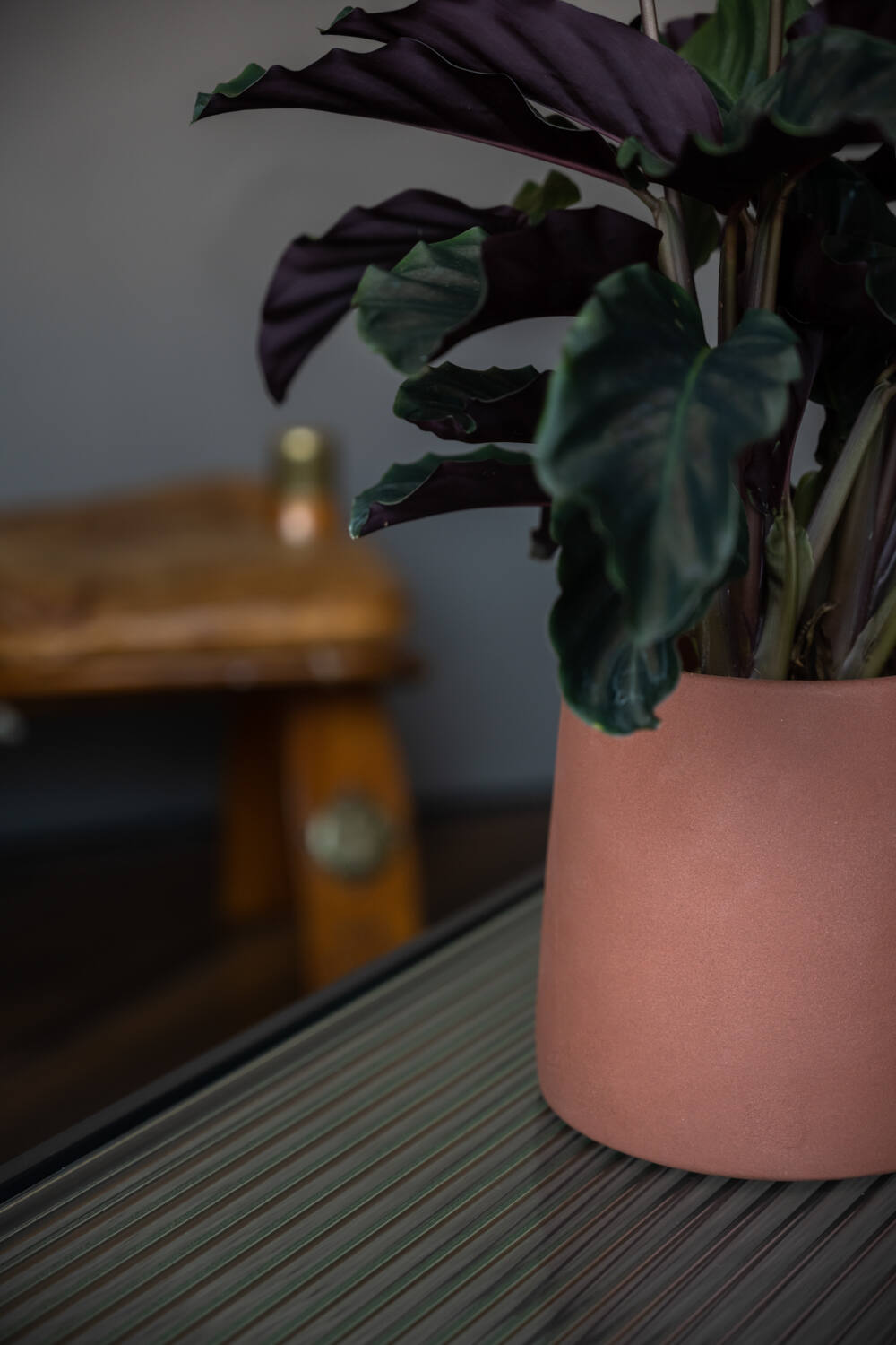 Keramický obal na květináč Sofia Pottery Pots