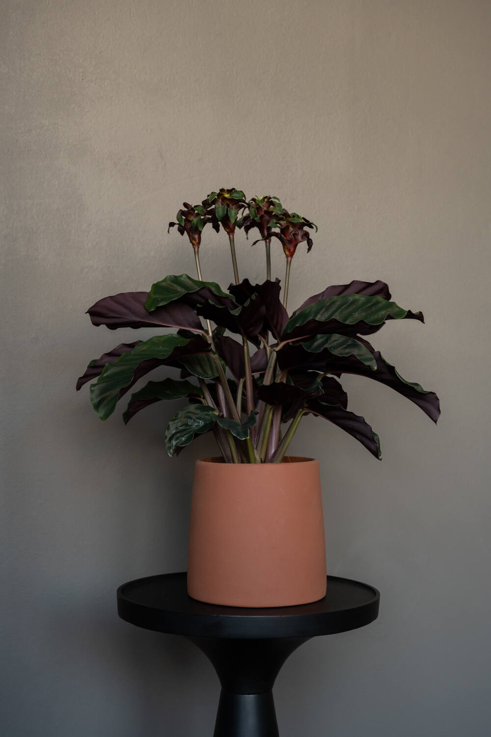 Keramický obal na květináč Sofia Pottery Pots