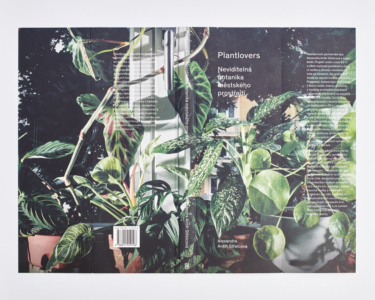 Plantlovers: Neviditelná botanika městského prostředí