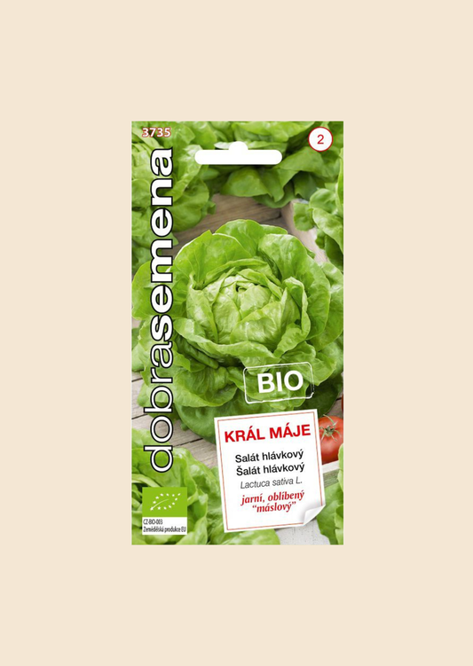 BIO Salát hlávkový Král Máje 0,4 g