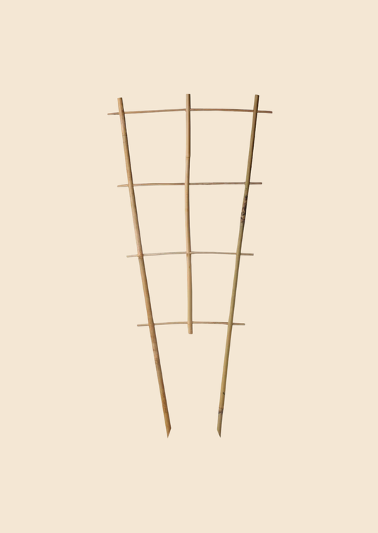 Bambusová opora složená