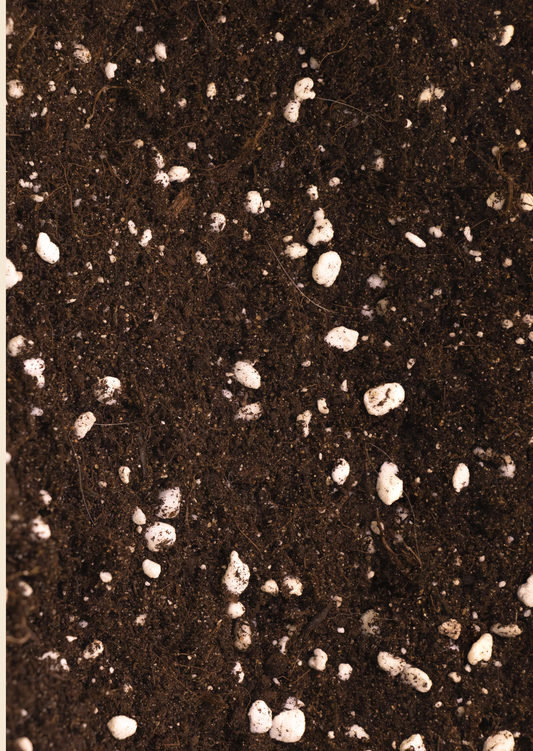 Univerzální substrát