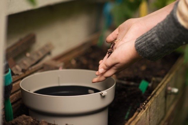 Vermikompostér do záhonu
